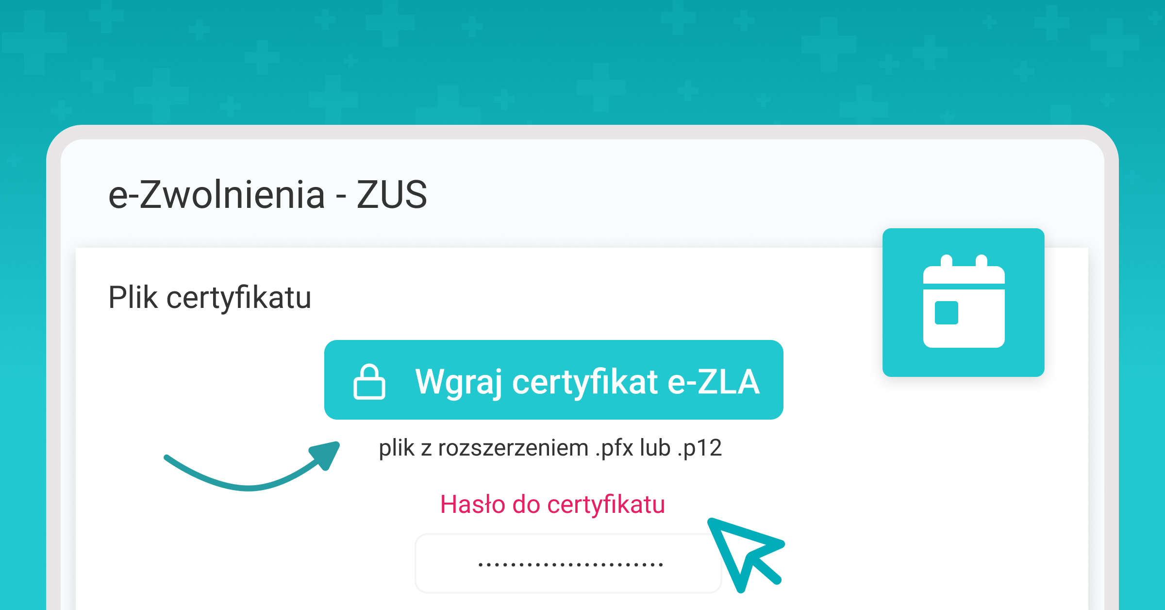 e-Zwolnienie - ustawienia elektronicznych zwolnień