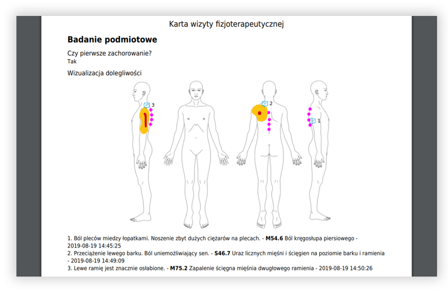 Wydruk Karty wizyty fizjoterapeutycznej